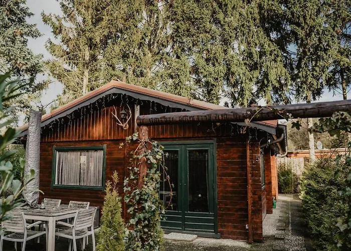 Cosy And Romantic Forest House Met Sauna Op De Veluwe